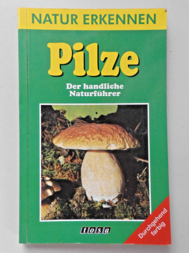 Pilze der handliche - pilze,